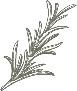 plante 2 écorce naturelle soin holistique